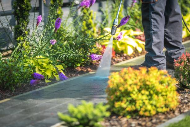 Best Winterizing Services  in Fifth Street, TX