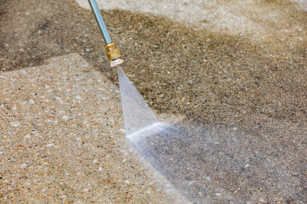 Best Animal Enclosure Cleaning  in Fifth Street, TX